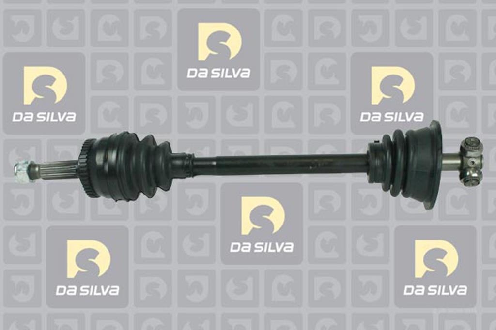 Cardã DA SILVA S.A.S. 81911AT