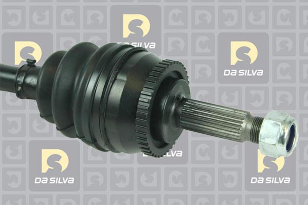 Cardã DA SILVA S.A.S. 81911AT