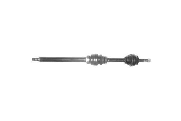 Butée hydraulique Coupé