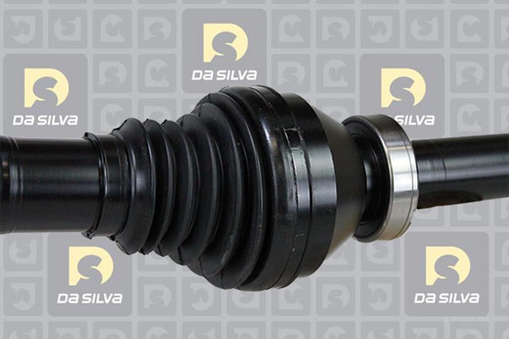 Cardan DA SILVA S.A.S. 82124AT