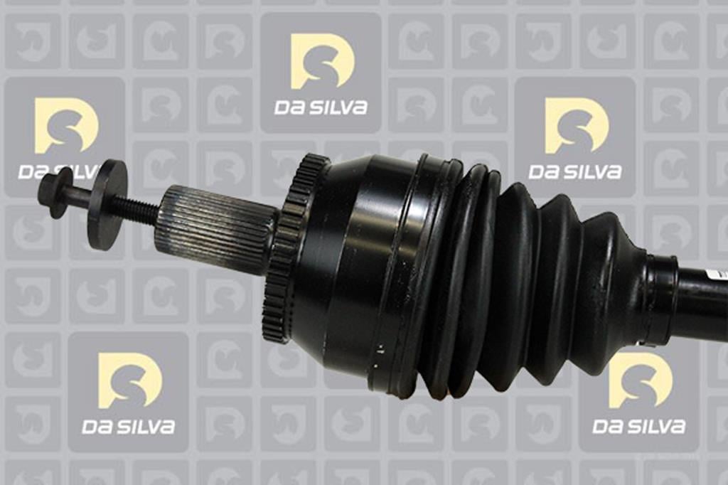Cardan DA SILVA S.A.S. 82124AT