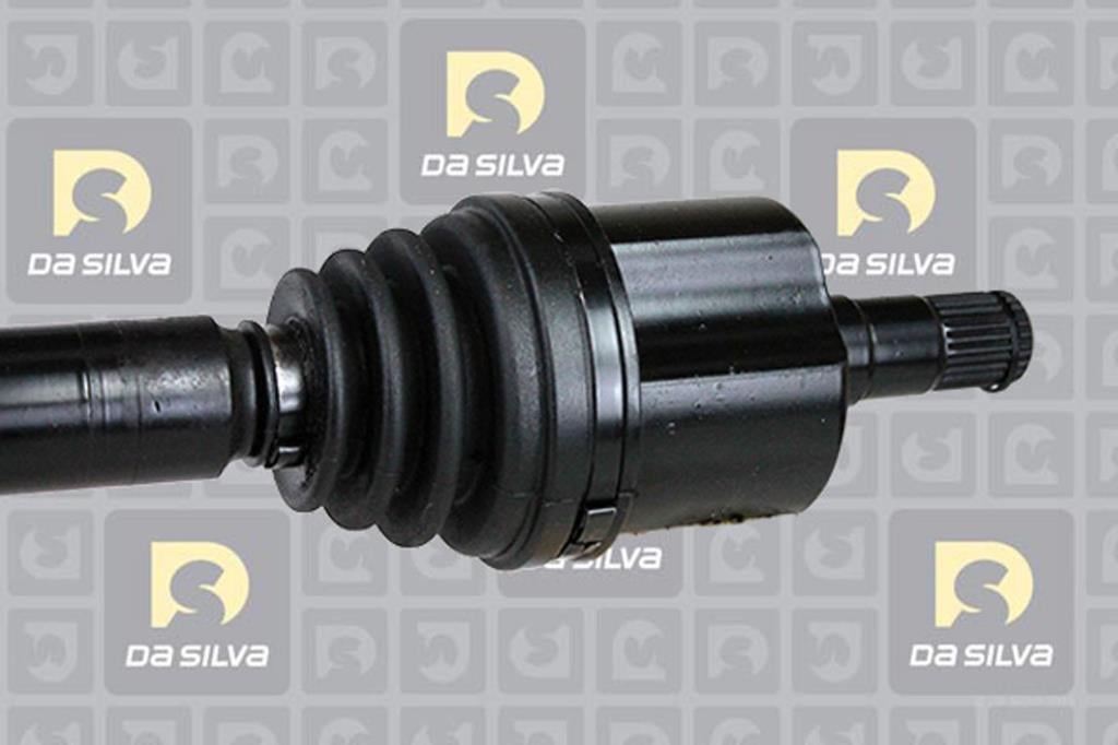 Cardã DA SILVA S.A.S. 82133AT