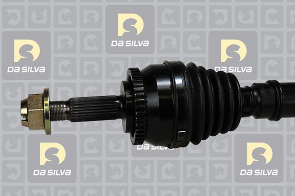 Cardã DA SILVA S.A.S. 82133AT