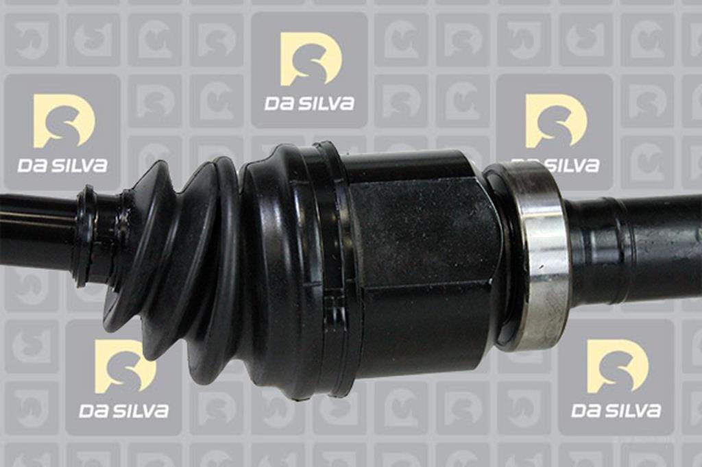 Cardan DA SILVA S.A.S. 82135T
