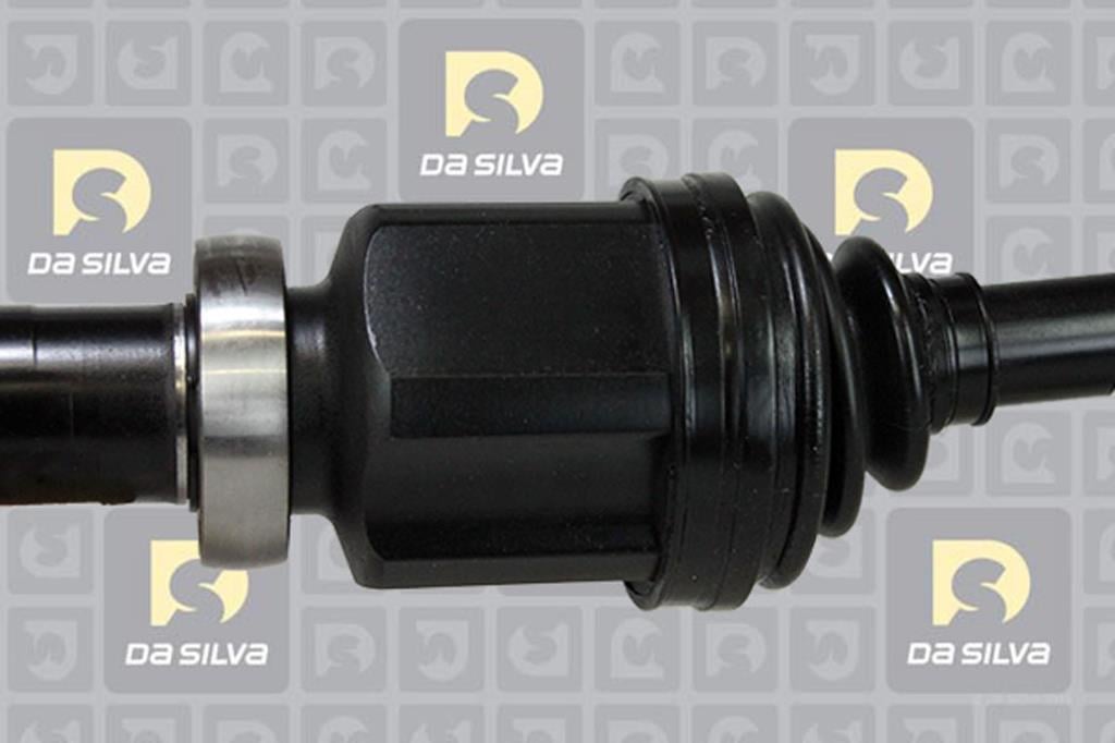 Cardan DA SILVA S.A.S. 82141T