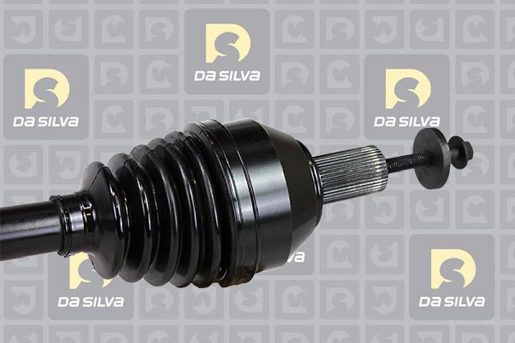Cardan DA SILVA S.A.S. 82141T