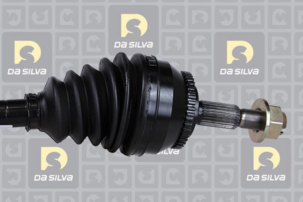 Cardã DA SILVA S.A.S. 82143AT