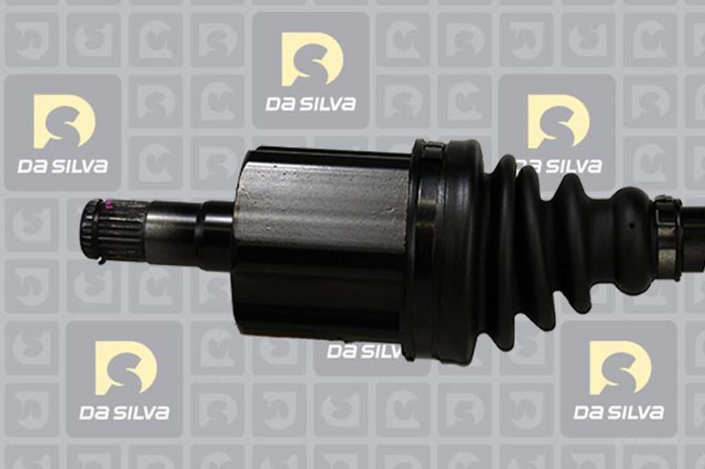 Cardã DA SILVA S.A.S. 82143AT