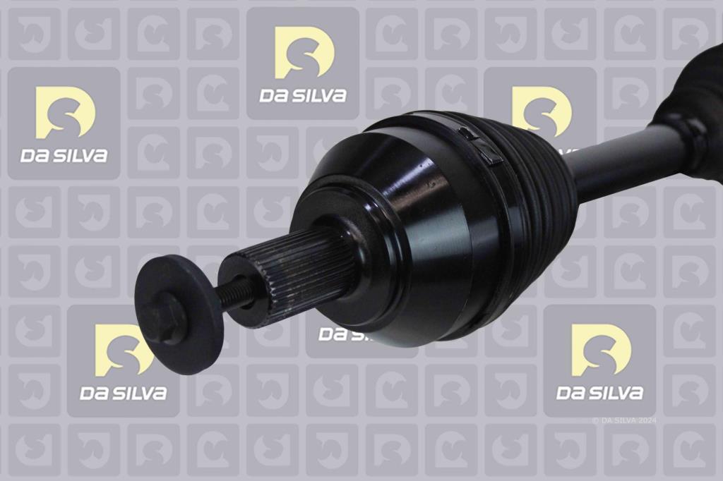 Cardã DA SILVA S.A.S. 8311T