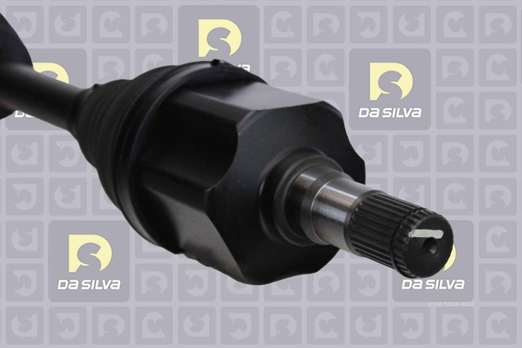 Cardã DA SILVA S.A.S. 8311T