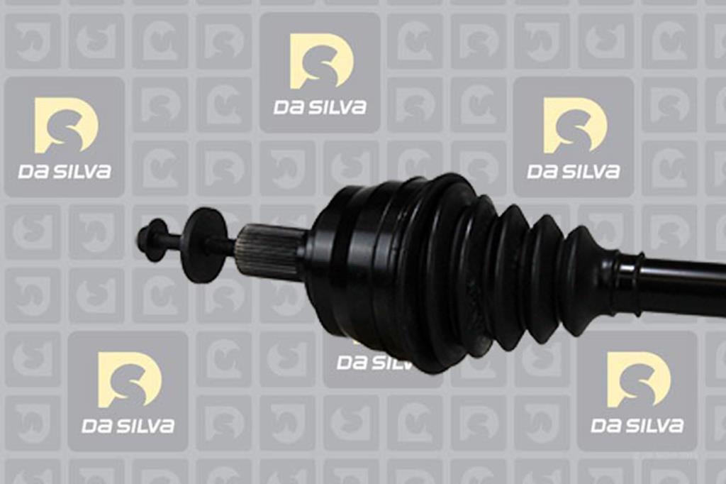 Cardã DA SILVA S.A.S. 8376T