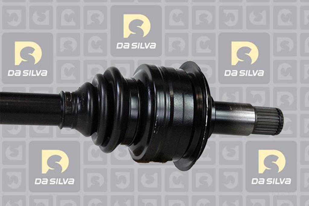Cardã DA SILVA S.A.S. 8393T