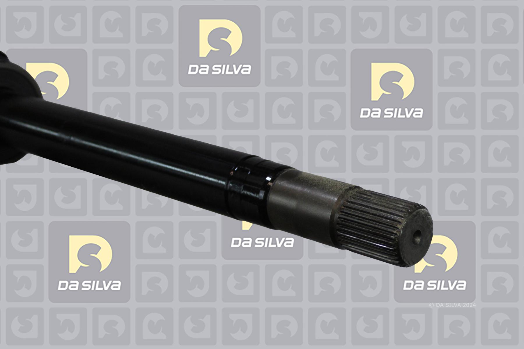 Cardã DA SILVA S.A.S. 8439T