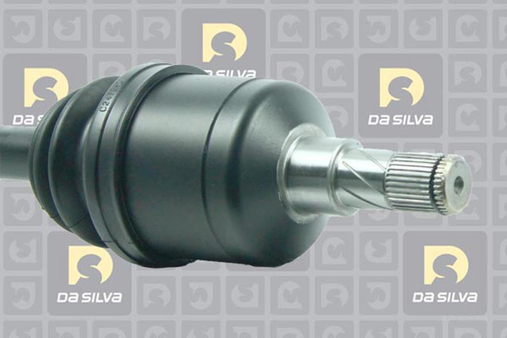 Cardã DA SILVA S.A.S. 90023T