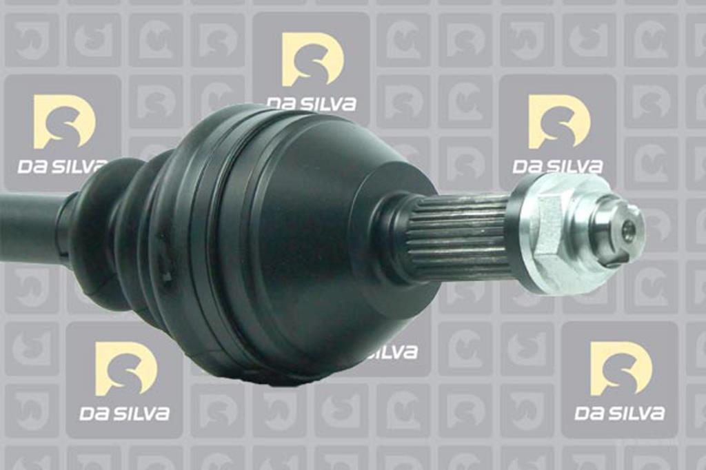 Cardã DA SILVA S.A.S. 90023T