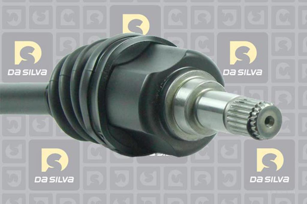 Cardã DA SILVA S.A.S. 90045T