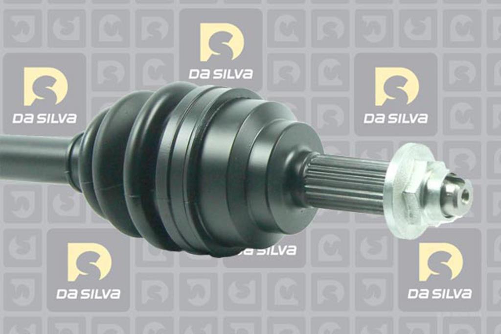 Cardã DA SILVA S.A.S. 90045T
