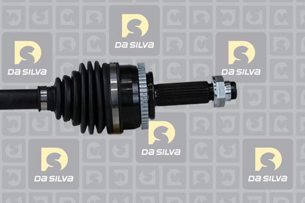 Cardan DA SILVA S.A.S. 90108AT