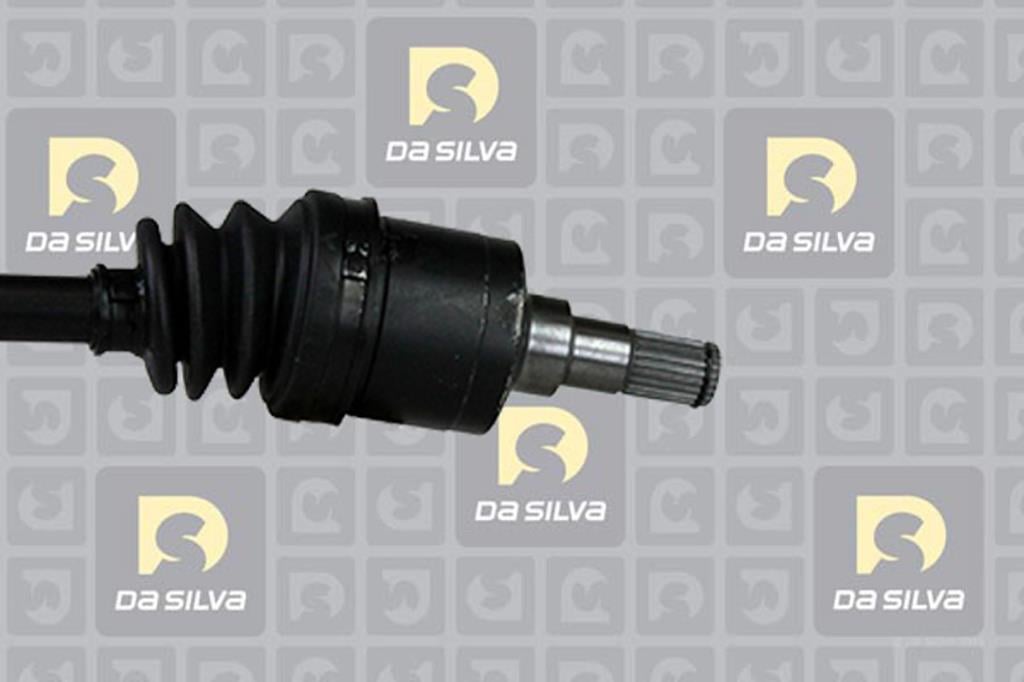 Cardan DA SILVA S.A.S. 90253AT