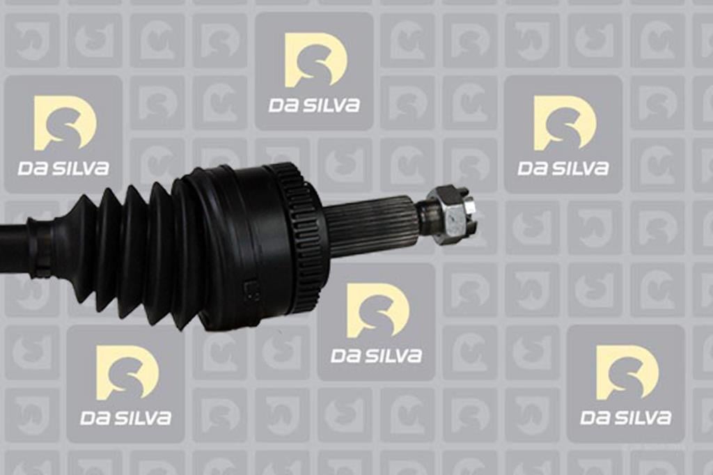 Cardan DA SILVA S.A.S. 90256AT