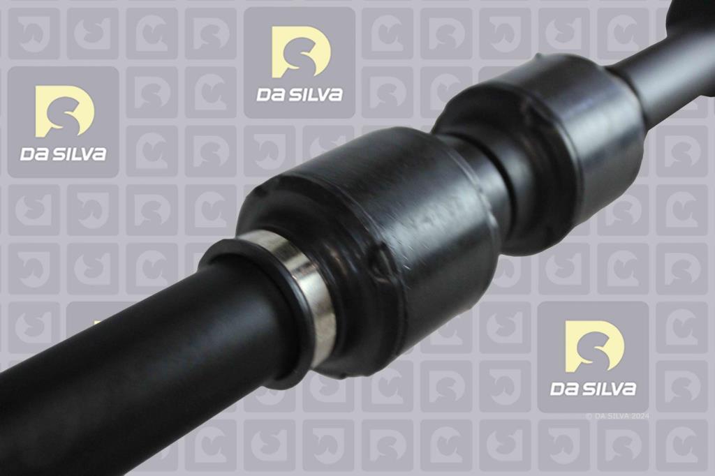 Cardã DA SILVA S.A.S. 90466T