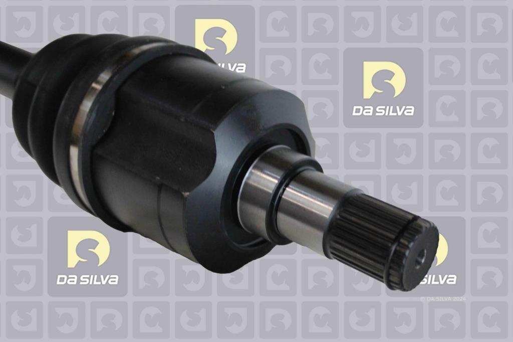 Cardã DA SILVA S.A.S. 90466T