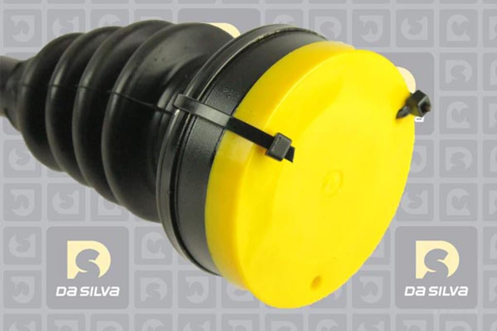 Cardã DA SILVA S.A.S. 9157AT