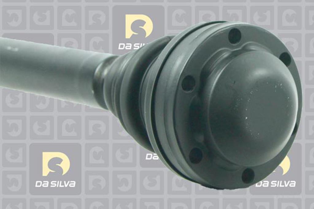 Cardan DA SILVA S.A.S. 9189T
