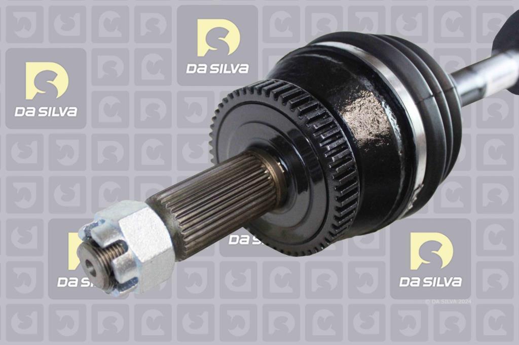 Cardan DA SILVA S.A.S. 92029AT