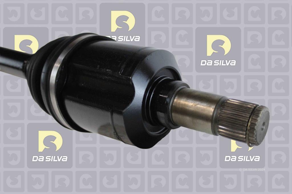 Cardan DA SILVA S.A.S. 92029AT
