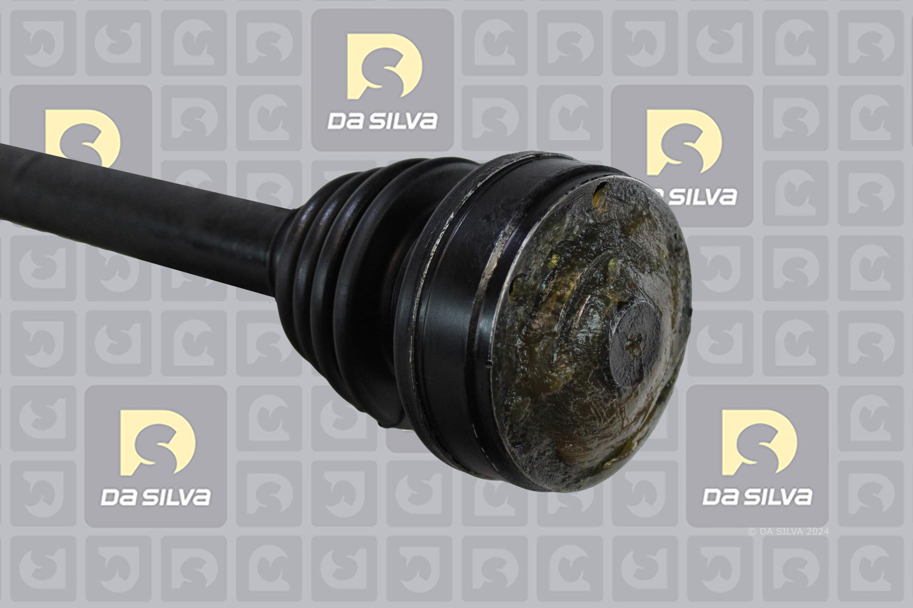 Cardã DA SILVA S.A.S. 9204T