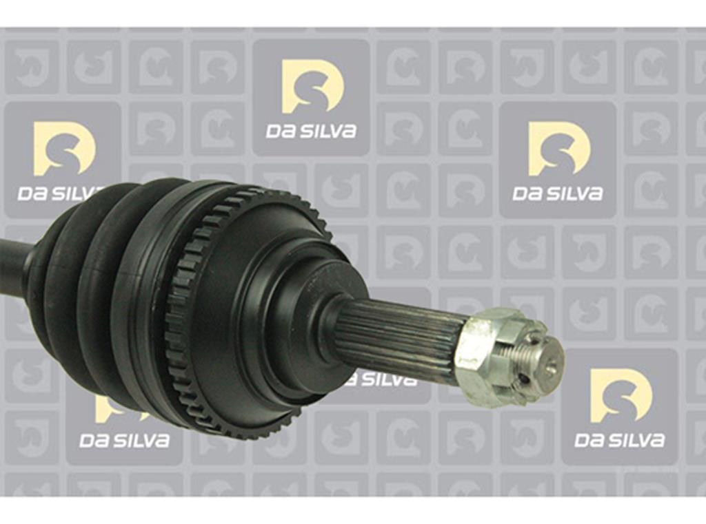 Cardã DA SILVA S.A.S. 92053AT