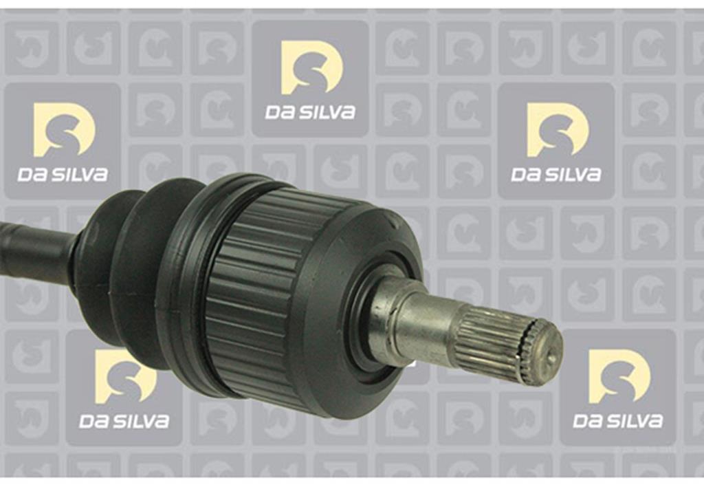 Cardã DA SILVA S.A.S. 92053AT