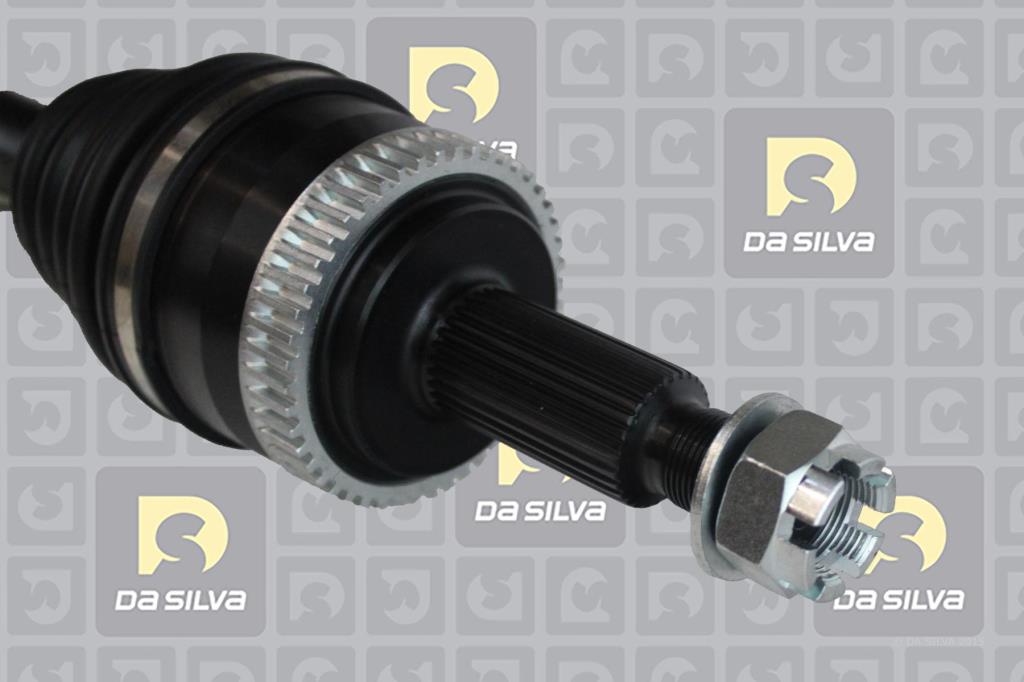 Cardã DA SILVA S.A.S. 92086AT