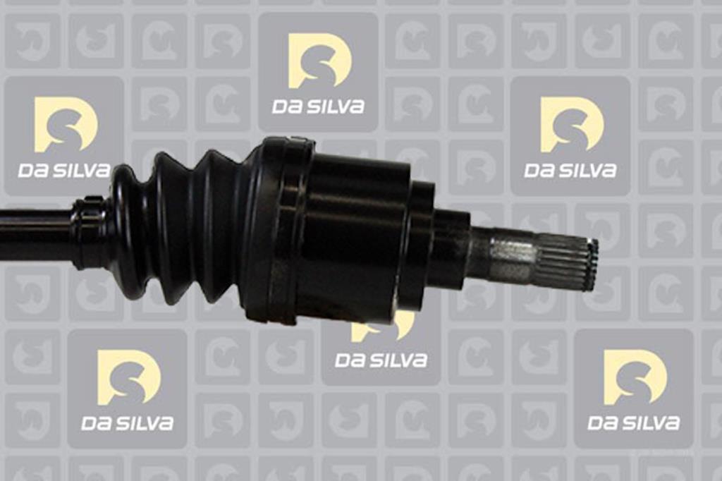 Cardã DA SILVA S.A.S. 92115AT