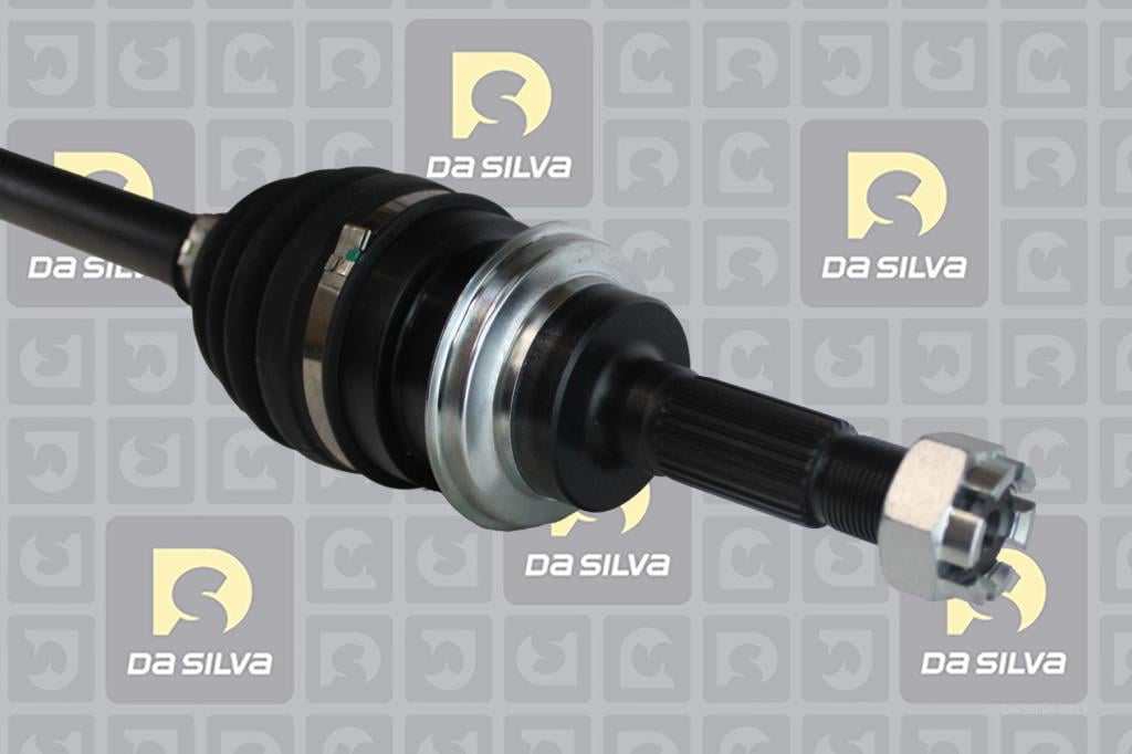 Cardan DA SILVA S.A.S. 92117AT