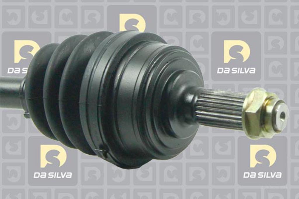 Cardã DA SILVA S.A.S. 93084T