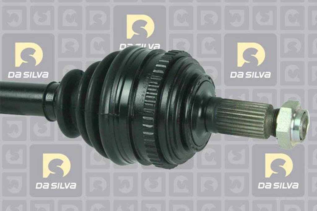 Cardan DA SILVA S.A.S. 93098AT
