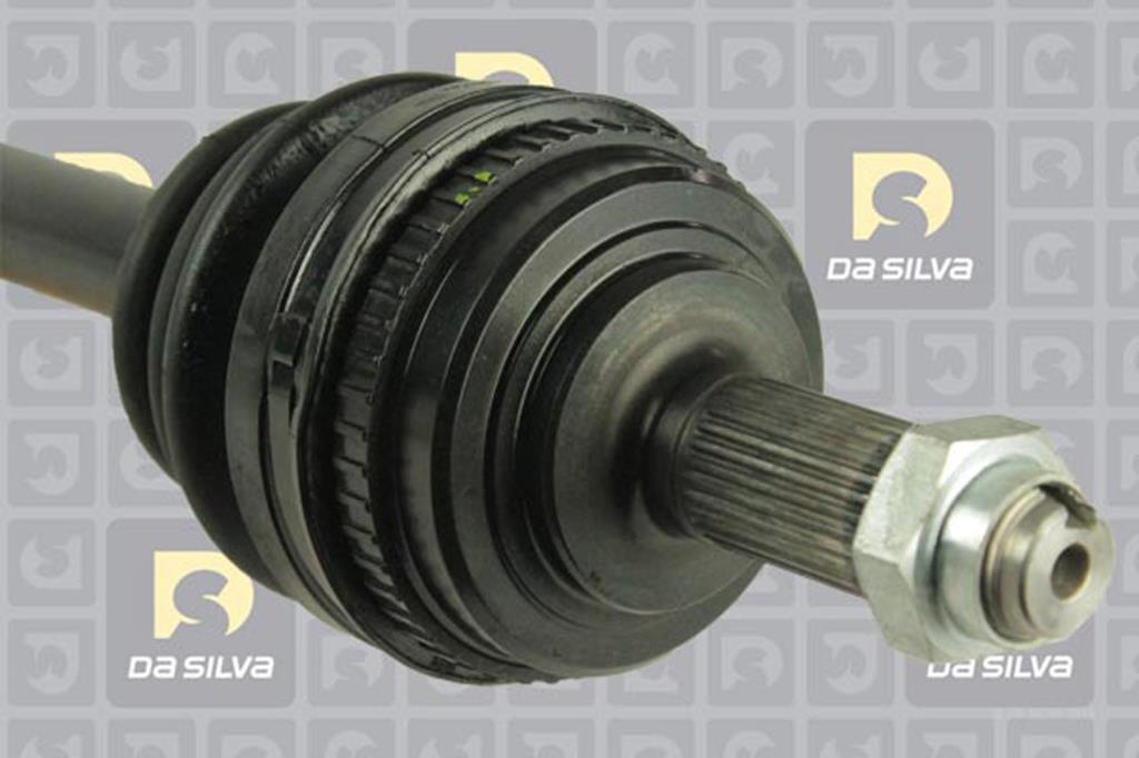 Cardã DA SILVA S.A.S. 93100AT