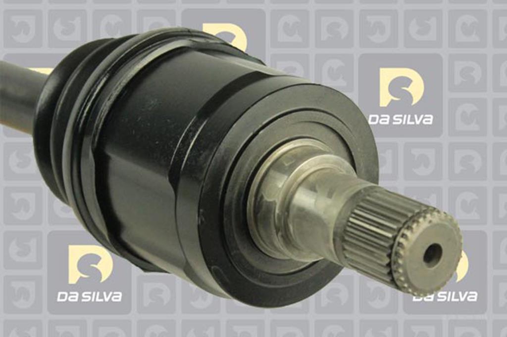 Cardã DA SILVA S.A.S. 93100AT