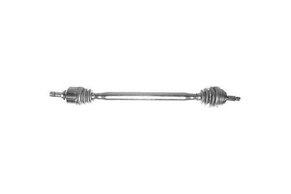 Butée hydraulique Coupé