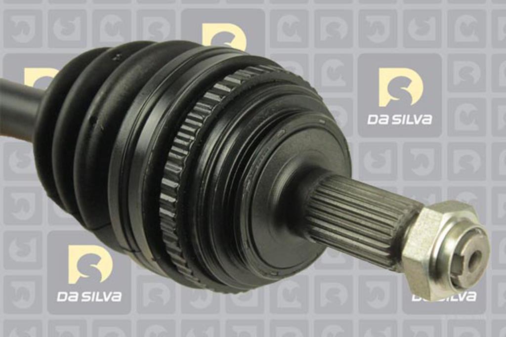 Cardan DA SILVA S.A.S. 93106AT