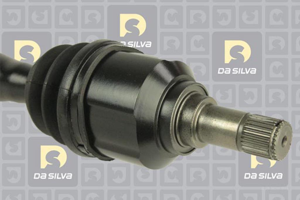 Cardan DA SILVA S.A.S. 93123BT