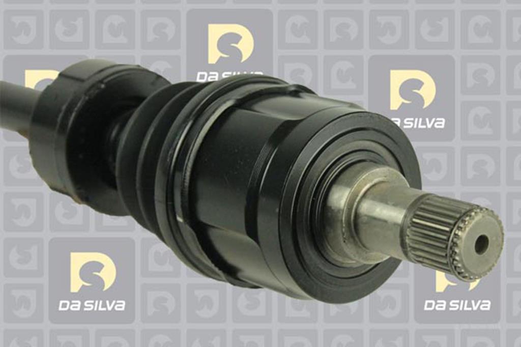 Cardan DA SILVA S.A.S. 93124AT