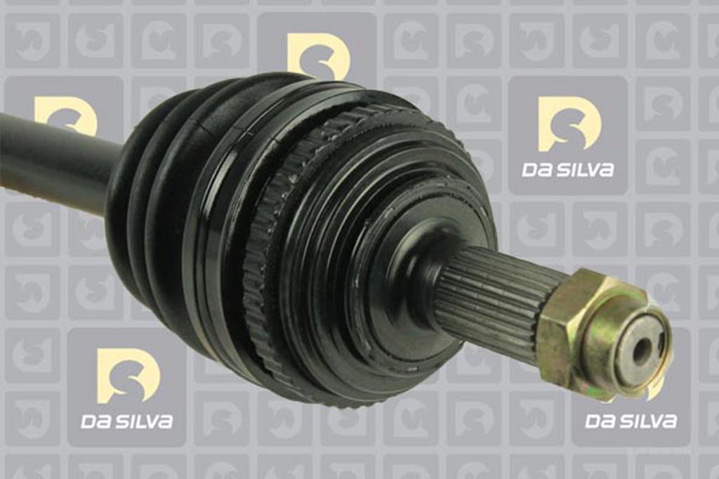 Cardan DA SILVA S.A.S. 93124AT