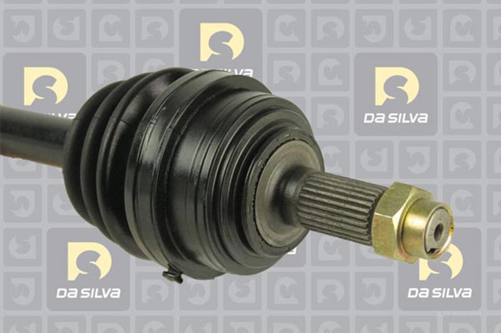 Cardã DA SILVA S.A.S. 93124T