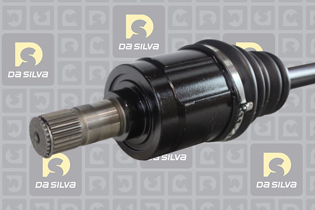 Cardã DA SILVA S.A.S. 93131T