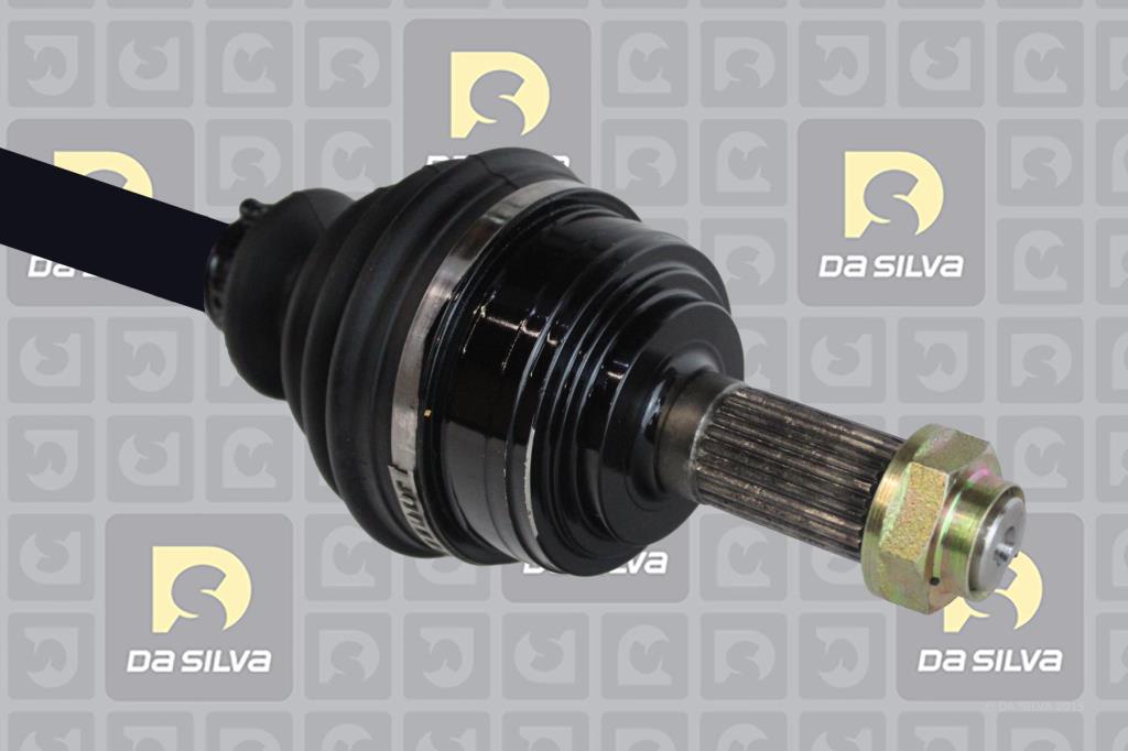Cardã DA SILVA S.A.S. 93131T