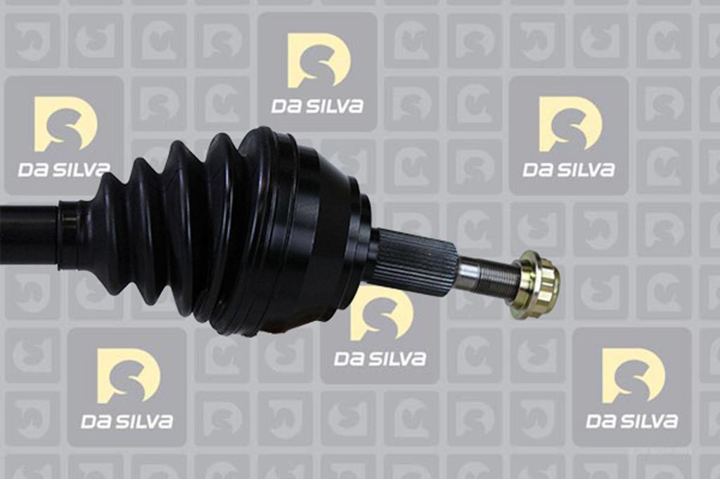Cardã DA SILVA S.A.S. 9376T