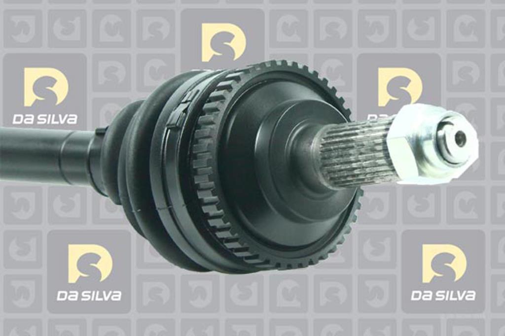 Cardan DA SILVA S.A.S. 94011AT